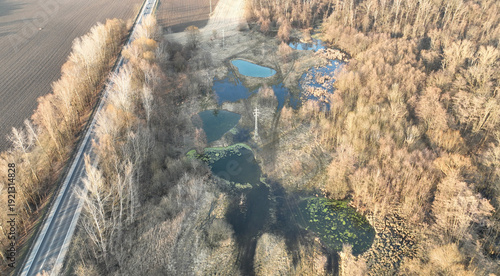 Bilde på lerret Wetland new pond pool swamp created in forest floodplain spring aerial birds eye top view drone footage National nature reserve Zebracka