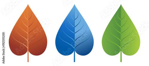 3色の葉のイラストセット（赤・青・緑）