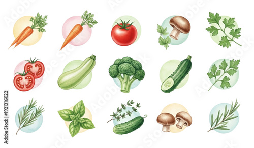 vegetables isolated on white background