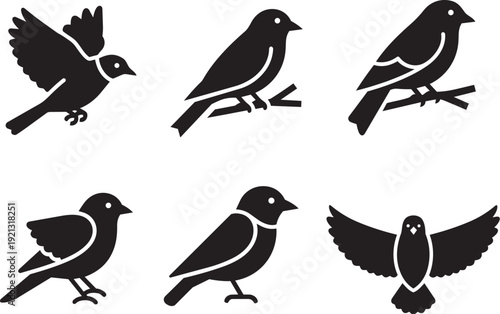 Diverse collection of avian silhouettes, featuring various bird species captured in flight and perched poses, ideal for nature-inspired graphic designs