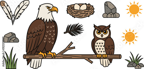 Birds of prey set with a bald eagle, owl, bird nest with eggs, feathers, sun and tree branch isolated on white background.