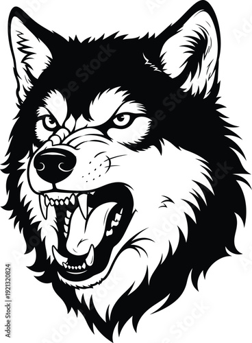 Fierce husky wolf portrait in black and white