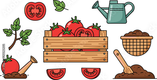 Tomato gardening set with fresh red tomatoes in a wooden crate, watering can, garden trowel and soil on white background.