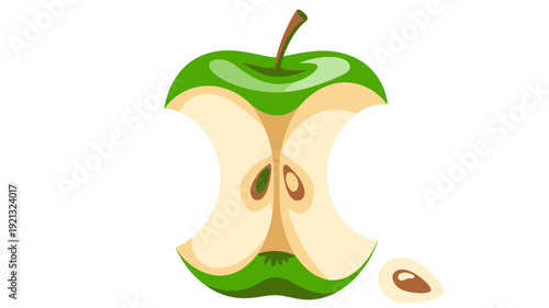 Green apple core with stem and single seed isolated white background