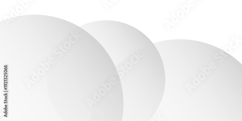 abstract white background with curve crease. Vector background