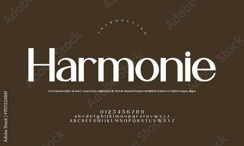 Harmonie Modern Refined Sans Serif Font - Balanced Minimalist Typography for Elegant Branding, Fashion Logos, and Contemporary Layouts