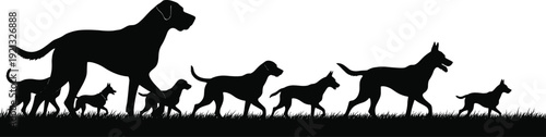 Black, silhouette, set, of, various, dog, breeds, walking, in, a, line, through, grass, isolated, on, white, background, vector, canine, pack, animal, banner.
