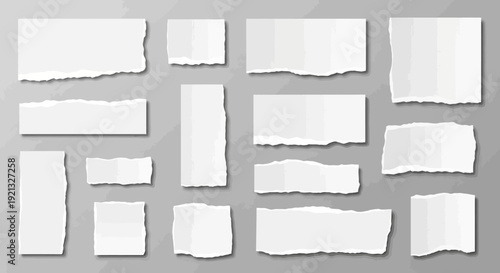 A collection of torn white paper scraps with rough edges, arranged on a textured gray background.