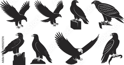 Eagle, silhouette, set, black, bird, of, prey, icons, predatory, falcon, hawk, flying, perched, majestic, animal, wildlife, isolated, on, white, background, vector, illustration.