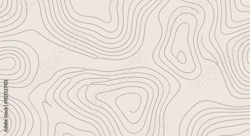 Abstract topographic map lines on a neutral background, representing elevation contours and geographical features.