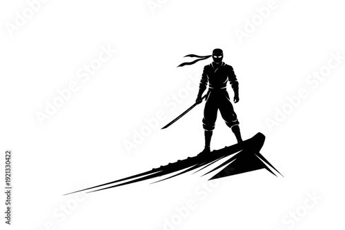 Shadow Skyline Assassin Pro Gaming Emblem