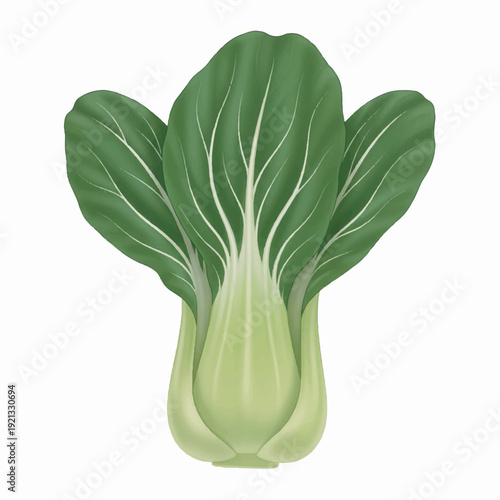 Fresh and vibrant bok choy, a leafy green vegetable, presented as a healthy ingredient for cooking and nutrition