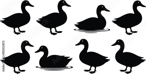 Duck Silhouette Set Vector Collection, Black Waterfowl Bird Icons in Standing and Swimming Poses Isolated on White Background Illustration