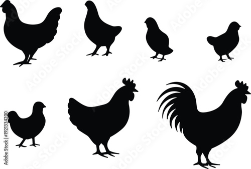 Chicken and rooster silhouette vector set, farm poultry bird shapes collection for agriculture and rural design, isolated