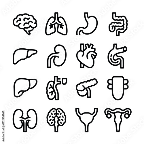 Line art illustrations depicting various human internal organs and body systems