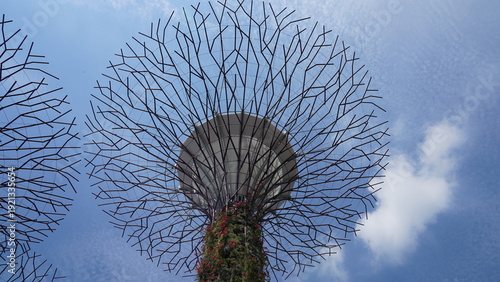 Φωτογραφία Gardens by the Bay Supertree Grove Singapore Wonders