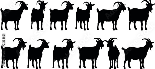 Goat silhouettes set in multiple poses, black farm animal shapes isolated on white background, livestock collection, rural agriculture vector illustration design elements stock