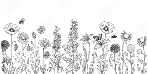 Black Sketch of Flowers Isolated on White Background. Set of flowers vector illustration of a plant .elements including blooming flowers,buds, leaves, stems, and small botanical branches. vectordesign