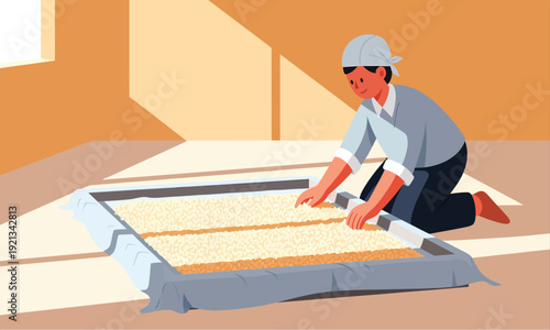 Rice drying process on a tray