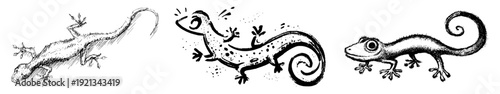 Monochrome Marvel: A Shaky Hand Drawing of a Gecko
