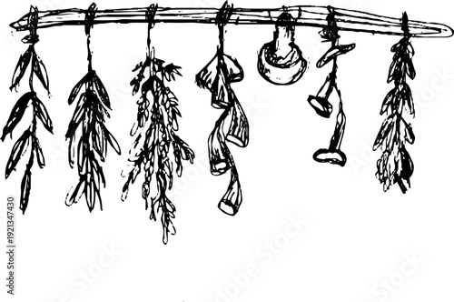Hand-drawn sketch of hanging dried herbs and mushrooms in rustic black and white illustration style for organic and herbal decor themes