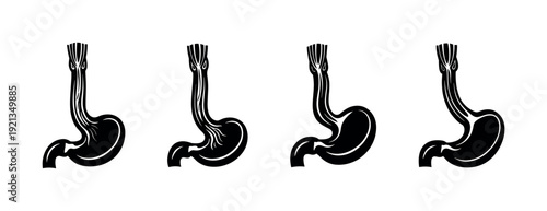 Digestive system vector icons set - stomach symbols collection