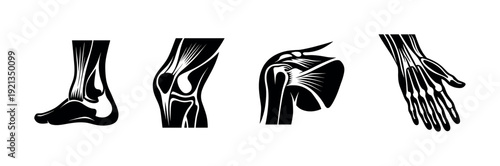 Anatomy vector icons set: bone and joint illustrations for medical design