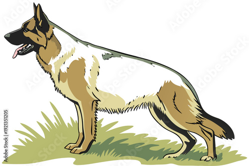 “German Shepherd Dog Illustration  Detailed Black and White Canine Vector Art”