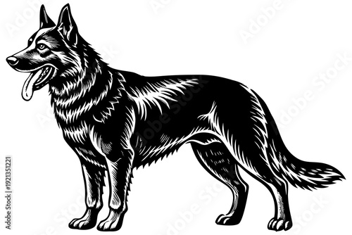 “German Shepherd Dog Illustration  Detailed Black and White Canine Vector Art”