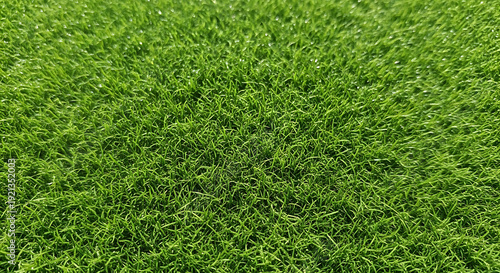 A close-up view of a lush and vibrant green grass field under sunlight