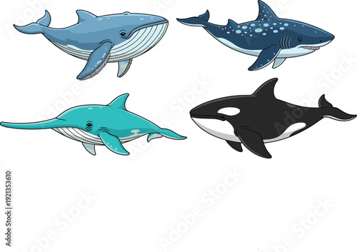 Flat Vector Marine Life Set Featuring Humpback Whale, Orca Killer Whale, Whale Shark, and Narwhal for Ocean Wildlife Conservation, Marine Biology, and Educational Graphic Designs
