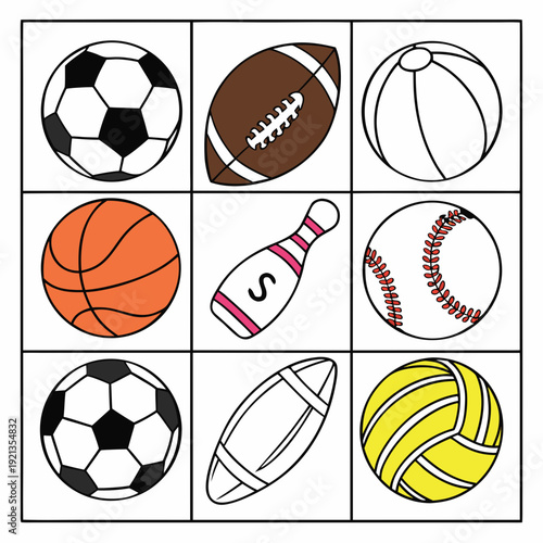 Collection of various sports balls and equipment Vector