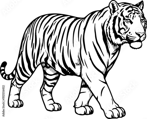 vintage hand drawn Bengal Tiger silhouette vector illustration