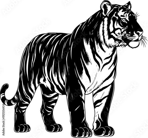 vintage hand drawn Bengal Tiger silhouette vector illustration