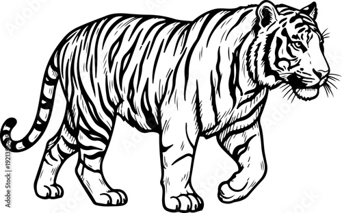 vintage hand drawn Bengal Tiger silhouette vector illustration