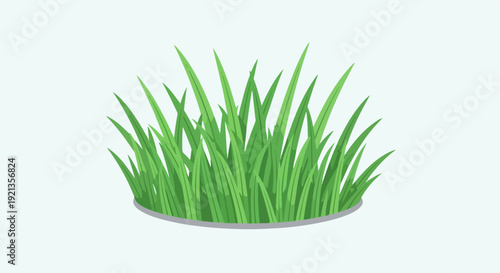 Vibrant green grass blades in a circular patch on light background