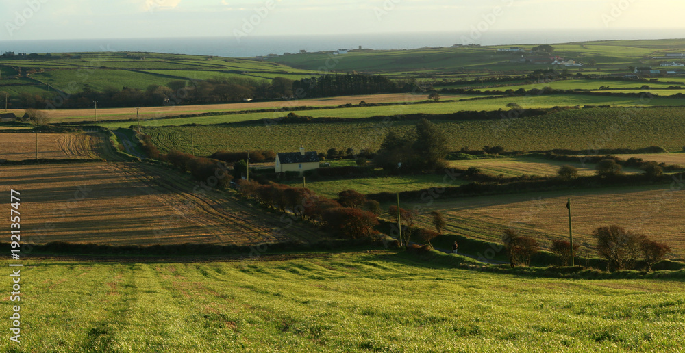 Obraz premium Rural landscape - Seven head trail - Courtmacsherry - County Cork - Ireland