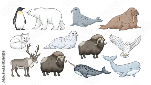 Arctic Wildlife Illustration: A vibrant illustration showcasing a variety of arctic animals, each exquisitely detailed and true to life.
