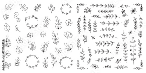 Hand Drawn Style Botanical Collection of Leaves, Flowers, and Floral Branches