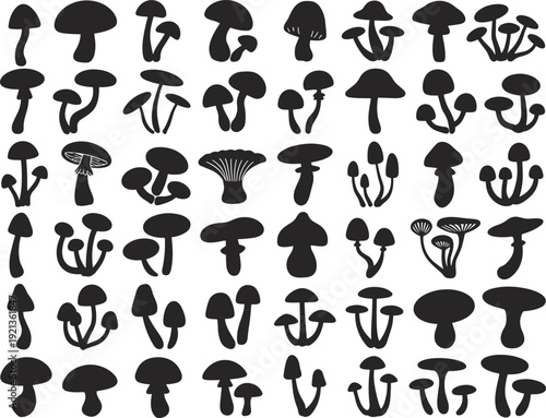 Mushroom silhouette set collection, various wild forest fungi shapes isolated black vector icons for nature and botanical design