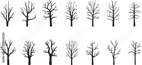 Set of dead tree silhouettes isolated on white background. Simple naked trees vector illustration