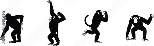 Flat vector monkey silhouettes, playful poses, dance sequence, expressive animal illustration