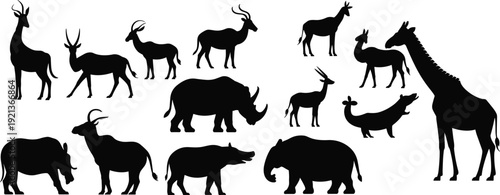 Flat vector African animal silhouettes, giraffe, elephant, rhino, savanna wildlife diversity