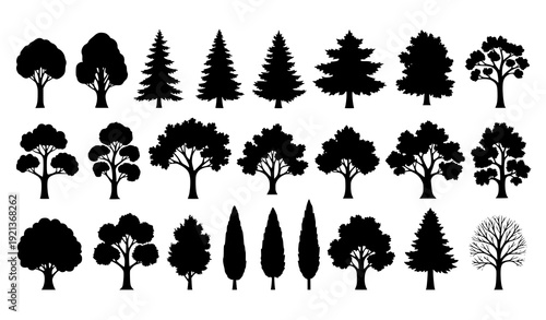 Tree Silhouette Set Isolated Flat Vector Illustration Collection on White Background