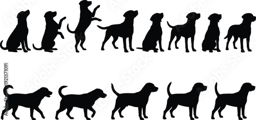 Dog silhouette poses collection showing sitting standing walking jumping puppy obedience actions isolated black vector illustration set for pet training concepts