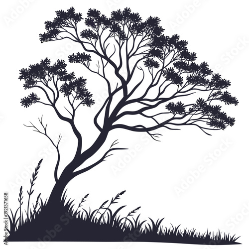 silhouette of uva ursi vector on white background