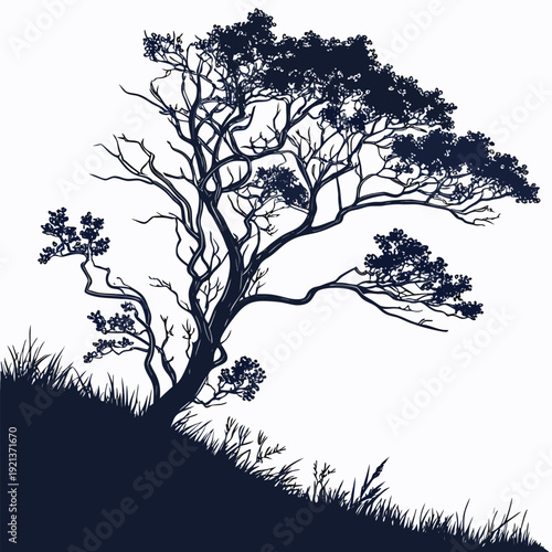 uva ursi silhouette vector on white background