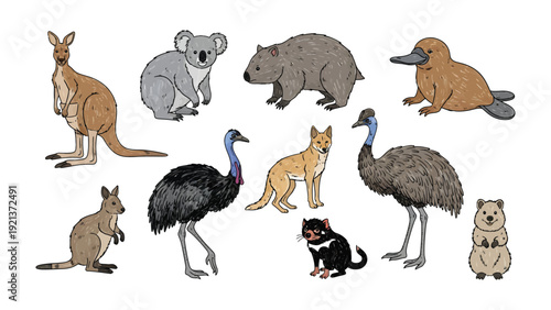 Australian Wildlife: A vibrant illustration showcasing diverse and unique animals. It serves as a visual celebration of Down Under's wildlife.