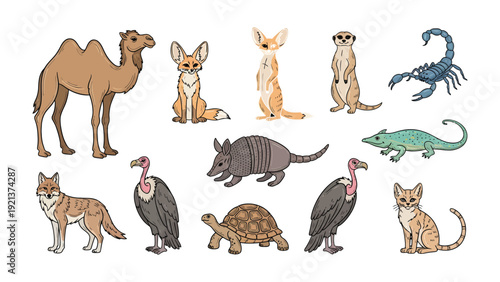 Desert Animals Illustration: A collection of various desert animals including a camel, fox, meerkat, and others, meticulously illustrated, creating a captivating visual of the desert's wildlife.