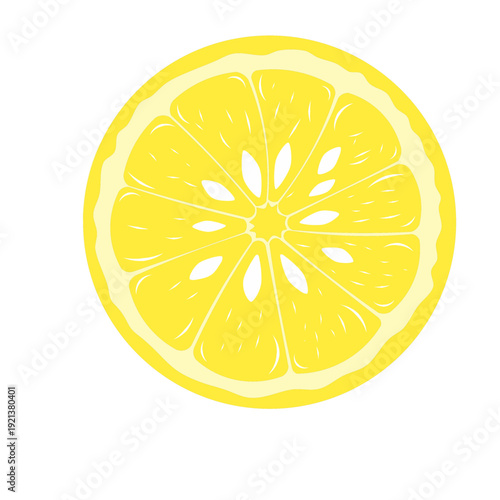 lemon slice isolated on white background, Freshness Orange Slice Frame, Fresh Orange Slice Illustration, orange vektor illustration, lime dan lemon vektor illustration.